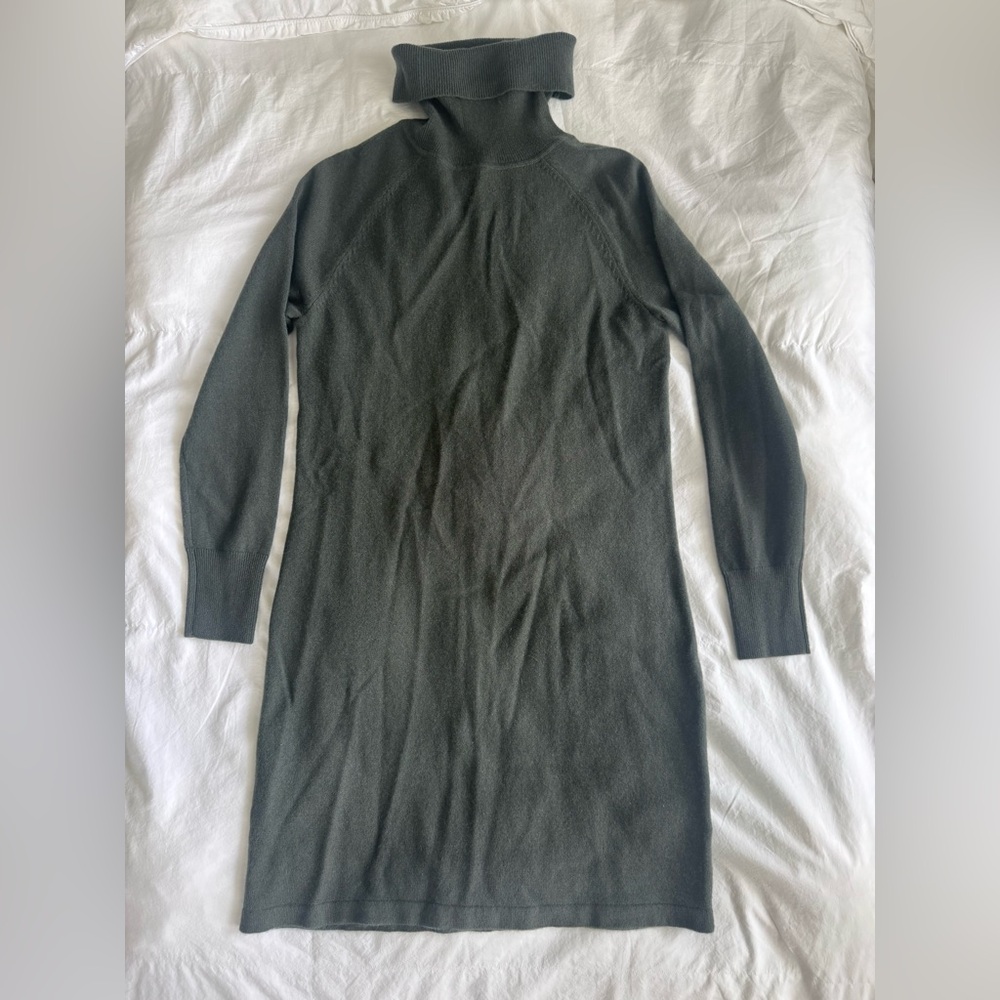 Quince Mongolian Cashmere Turtleneck Sweater Dress